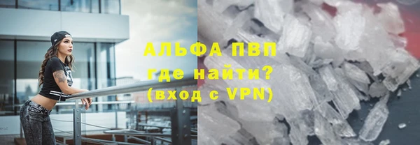 индика Майский