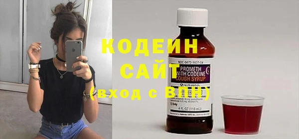 индика Майский