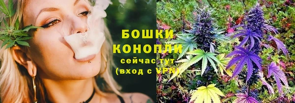 дживик Магас