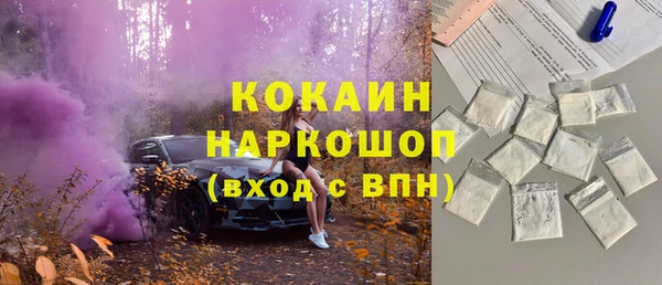 дживик Магас