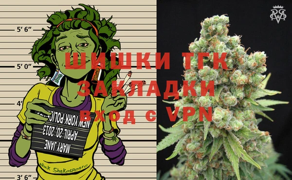 дживик Магас